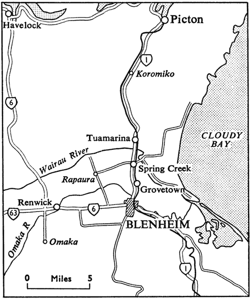 Blenheim and district
