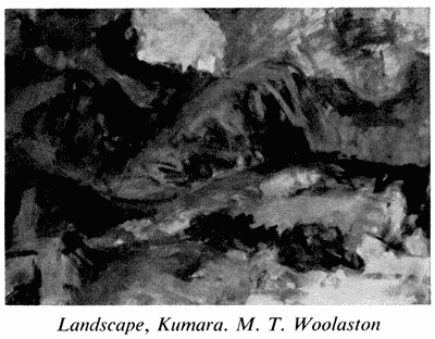 'Landscape, Kumara', M. T. Woolaston