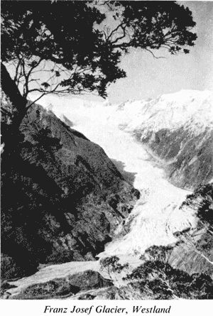 Franz Josef Glacier, Westland