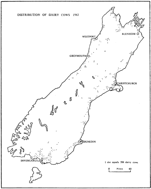 Distribution of dairy cows in the South Island, 1963