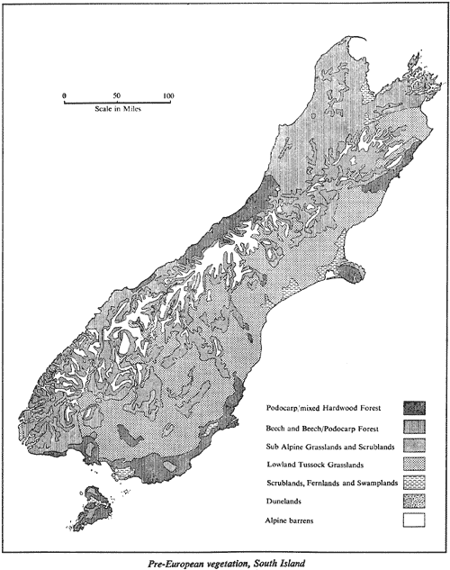 Pre-European vegetation, South Island