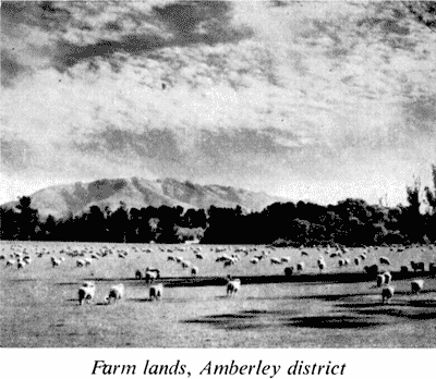 Farm lands, Amberley district
