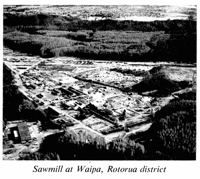 Sawmill at Waipa, Rotorua district