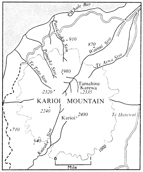 Karioi Mountain
