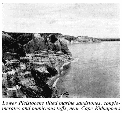 Lower Pleistocene formations, near Cape Kidnappers