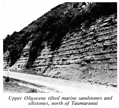 Upper Oligocene formations, north of Taumarunui
