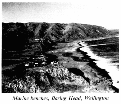 Marine benches, Baring Head, Wellington