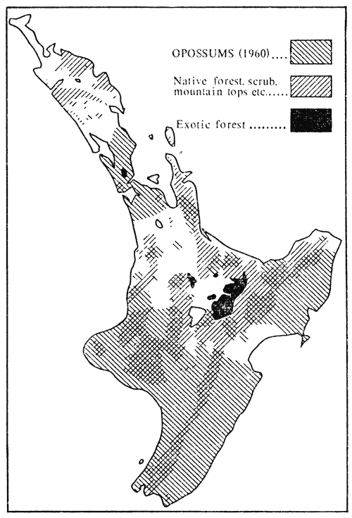 Distribution of opossums in the North Island, 1960