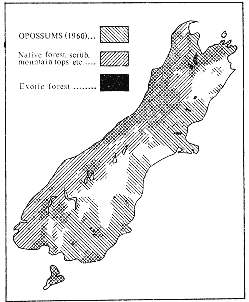 Distribution of opossums in the South Island, 1960