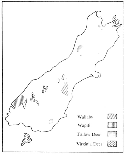 Distribution of wallabies, wapiti and deer in the South Island