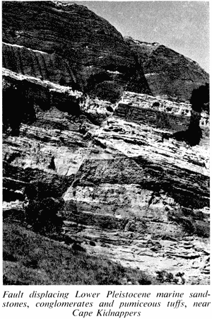 Fault, near Cape Kidnappers