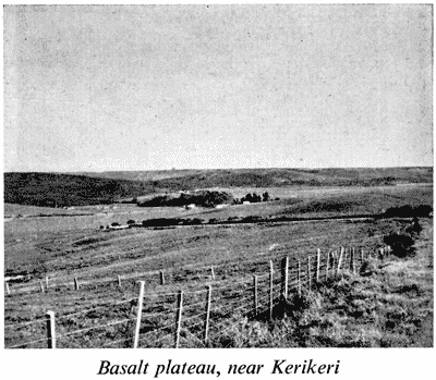 Basalt plateau, near Kerikeri