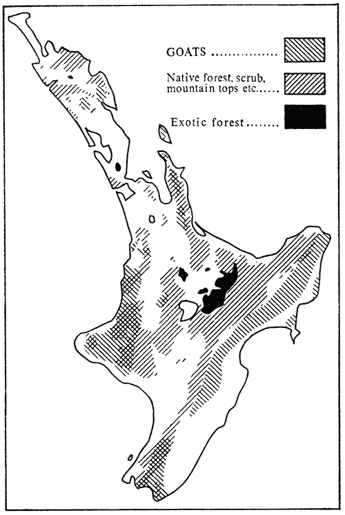 Distribution of goats in the North Island
