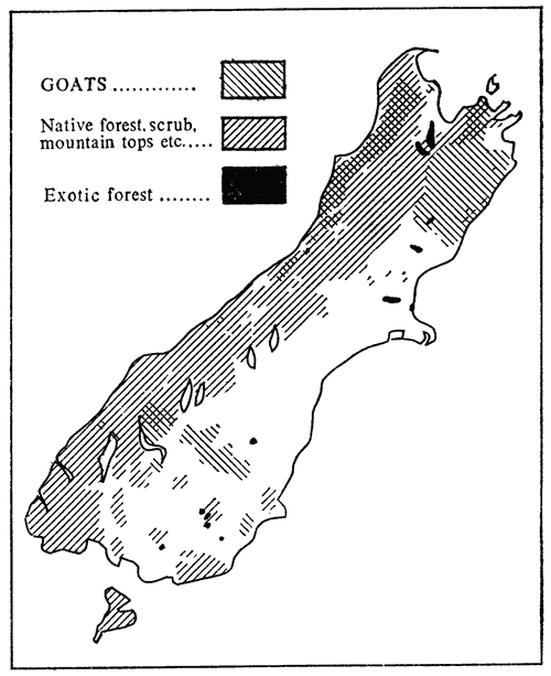 Distribution of goats in the South Island