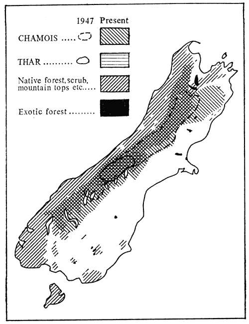 Distribution of chamois and thar in the South Island