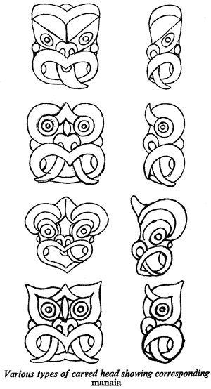Various types of carved head showing corresponding manaia