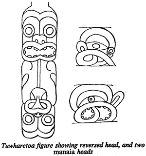 Tuwharetoa figure showing reversed head, and two manaia heads