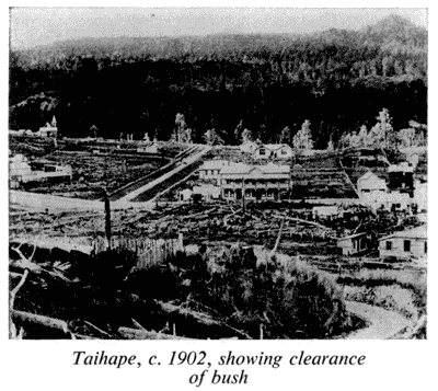Taihape, c. 1902, showing clearance of bush