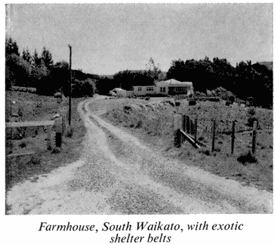 Farmhouse, South Waikato
