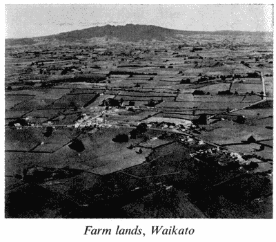 Farm lands, Waikato