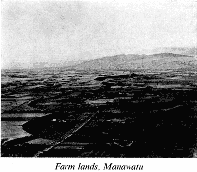 Farm lands, Manawatu