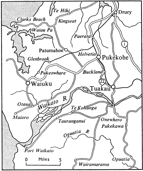 Pukekohe and district