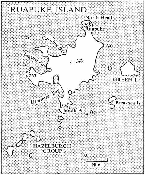 Ruapuke Island