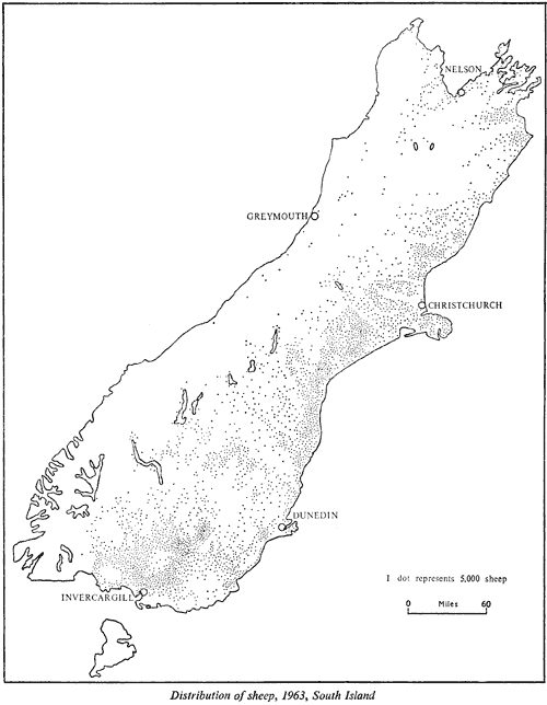 Distribution of sheep, 1963, South Island