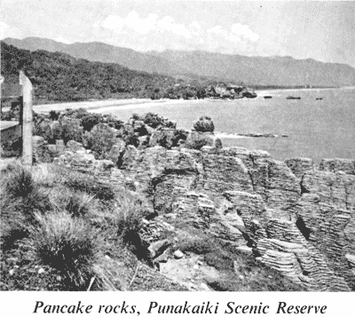 Pancake rocks, Punakaiki Scenic Reserve
