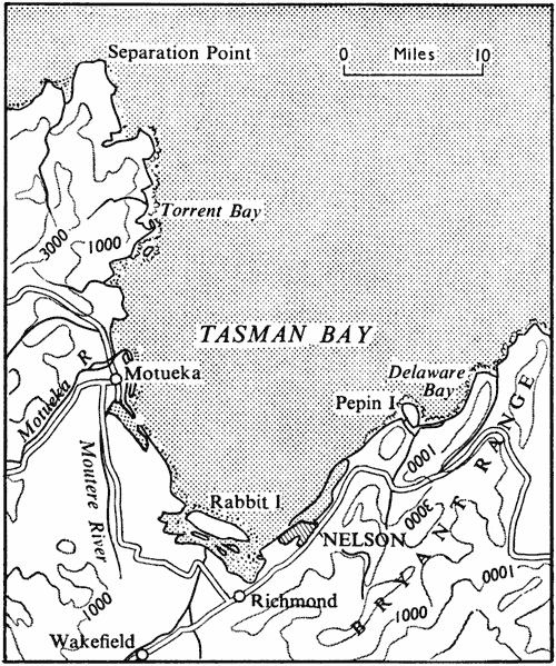 Tasman Bay