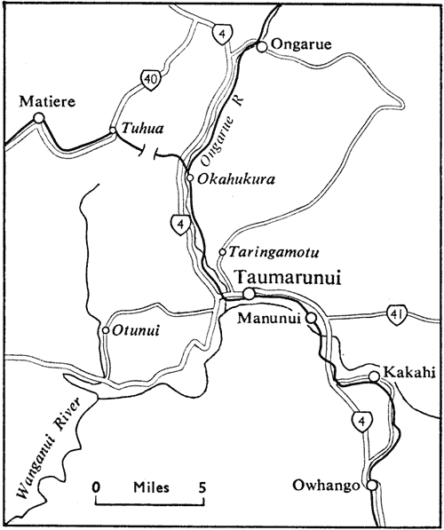 Taumarunui and district
