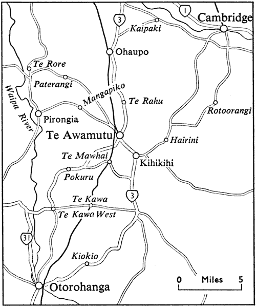 Te Awamutu and district