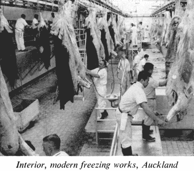 Interior, modern freezing works, Auckland – 1966 Encyclopaedia of New ...