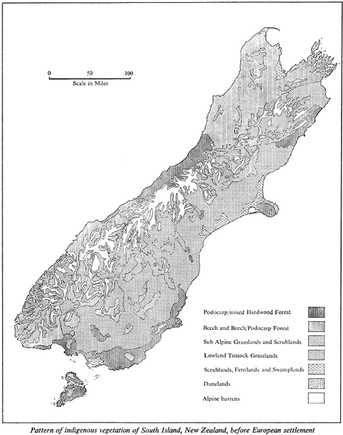 Pattern of indigenous vegetation of South Island, New Zealand, before European settlement