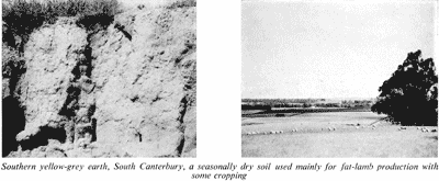 Soil profile and landscape, South Canterbury