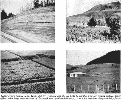 Soil profile and landscape, Taupo district