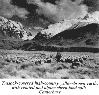 Tussock-covered high-country, Canterbury