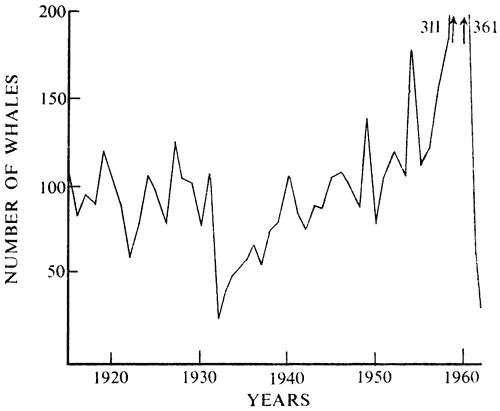 Number of whales caught, 1920-60