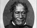 Nene, Tāmati Wāka, ?-1871