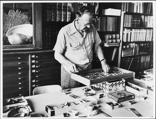 Conchologist Arthur William Baden Powell at work, 1940