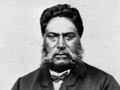 Tāmihana Te Rauparaha, 1869