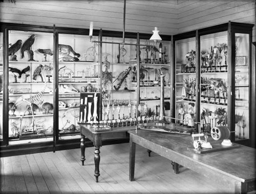 Algernon Phillips Withiel Thomas's laboratory