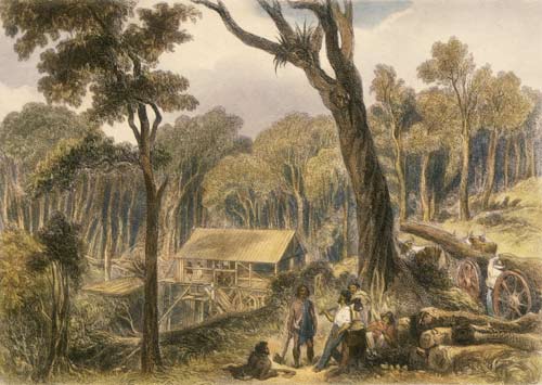 Māori timber workers