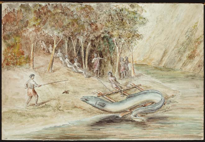 ‘Catching the legendary eel at Tangahoe’