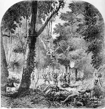 Attack in the bush, 1868