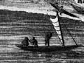 Sails of a canoe 