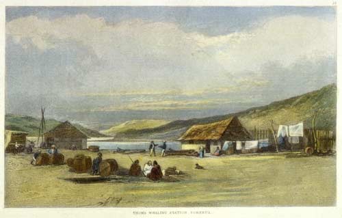 Toms’s whaling station