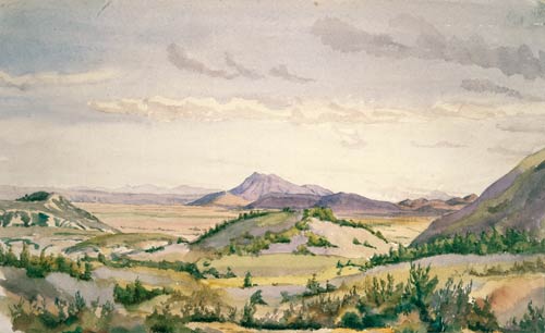 Kāingaroa plains, 1890