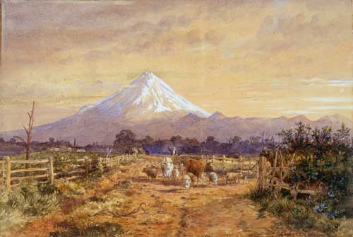 Sheep and cattle, Taranaki