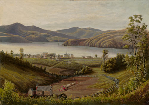 Vineyard at Akaroa